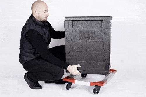 GIF Contenitore isotermico da 146 litri